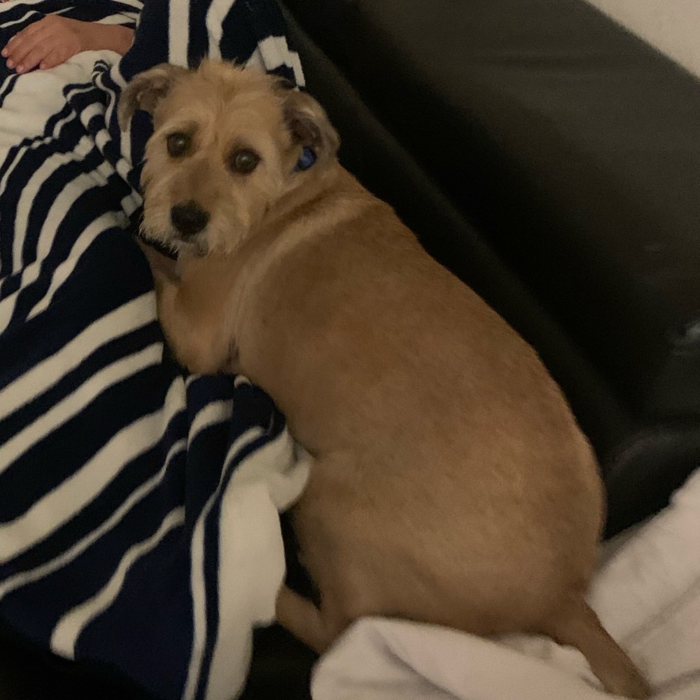 Meet your Posher, Chanutporn